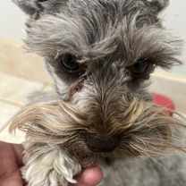 Thumbnail photo of Hercules #4