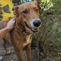 Thumbnail photo of David #2