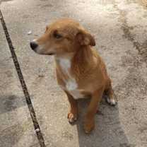 Thumbnail photo of David #3