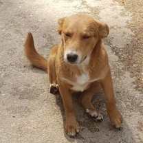 Thumbnail photo of David #4