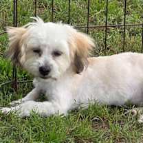 Thumbnail photo of Nina #3