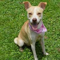 Thumbnail photo of Sally #2