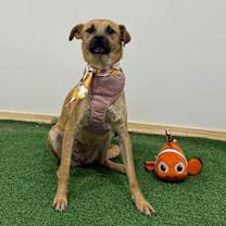 Thumbnail photo of Alexandra #3