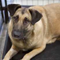 Thumbnail photo of Chloe #1