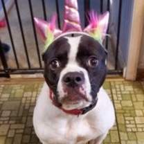 Thumbnail photo of Yoyoma - Fee Sponsored in Full #2