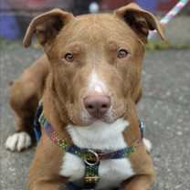 Thumbnail photo of Myles #2