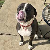 Thumbnail photo of Big Boy #3