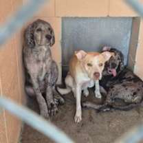 Thumbnail photo of Sally #4