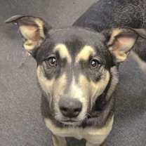 Thumbnail photo of Wilbur #3