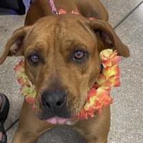 Thumbnail photo of Molly #1