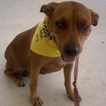 Thumbnail photo of Molly #2