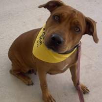 Thumbnail photo of Molly #3