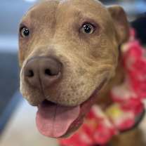 Thumbnail photo of Kitty #1