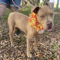 Thumbnail photo of Kitty #2