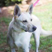 Thumbnail photo of Rita Lynn 21557 #3