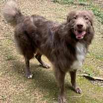 Thumbnail photo of Lotto #2