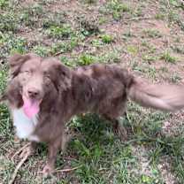 Thumbnail photo of Lotto #3