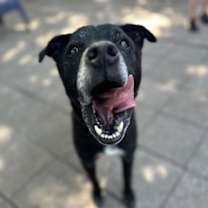 Thumbnail photo of Melvin #4