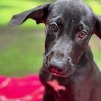 Thumbnail photo of Church Hill in CT #1