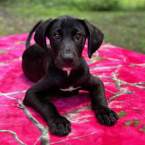 Thumbnail photo of Church Hill in CT #2