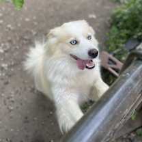 Thumbnail photo of Thunder&Cloud #4