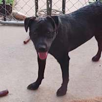 Thumbnail photo of Rainey #2