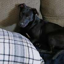 Thumbnail photo of Rainey #3