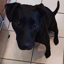 Thumbnail photo of Rainey #4