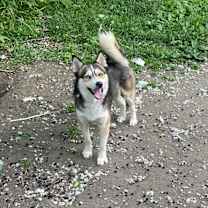 Thumbnail photo of Thunder&Cloud #3