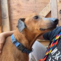 Thumbnail photo of Cunningham #2