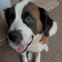 Thumbnail photo of Peaches #2