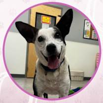 Thumbnail photo of Rolls Royce #3