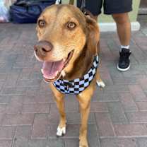 Thumbnail photo of ININA #1