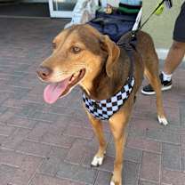 Thumbnail photo of ININA #3