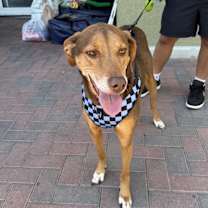 Thumbnail photo of ININA #4