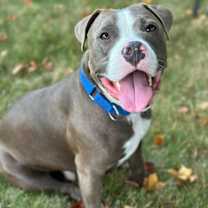 Thumbnail photo of Max #1