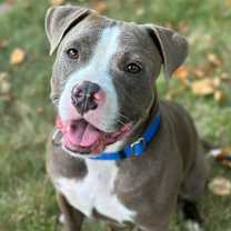 Thumbnail photo of Max #2