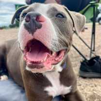 Thumbnail photo of Max #3