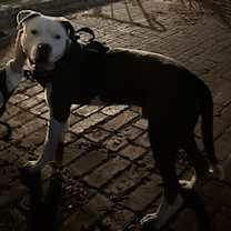 Thumbnail photo of Mr. Lahey #2