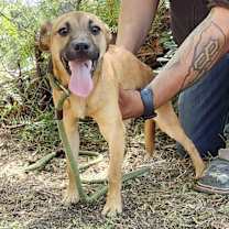 Thumbnail photo of Sweet #2