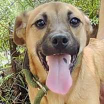 Thumbnail photo of Sweet #3