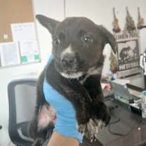 Thumbnail photo of Jack #2