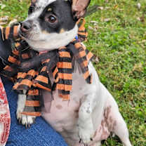 Thumbnail photo of MAGIC MAUDE #3