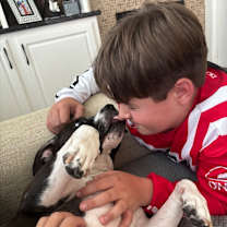 Thumbnail photo of Scarlett Sandoval will love your other dogs! #4