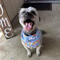 Thumbnail photo of Luca #1