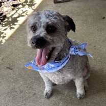 Thumbnail photo of Luca #2