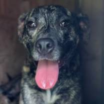 Thumbnail photo of Eddie #1