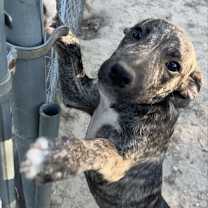 Thumbnail photo of Eddie #3