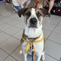 Thumbnail photo of Travis #1