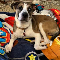 Thumbnail photo of Travis #2